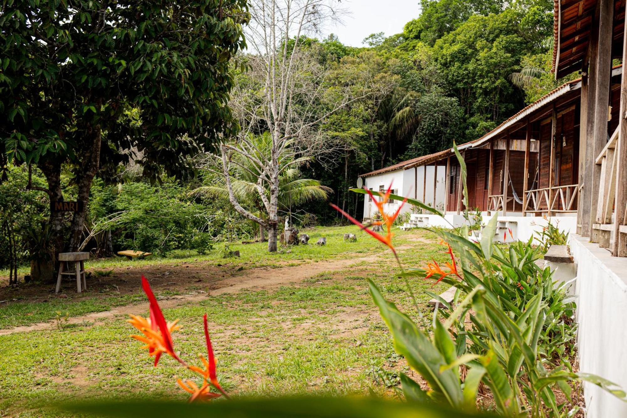 Refugio Mari Mari Lodge 프레지덴테 피게이레도 외부 사진